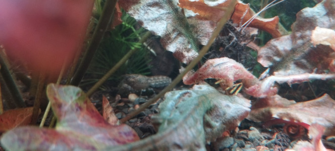 Photographie du post de Olivier1977 