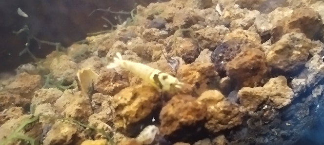 Photographie du post de Olivier1977 