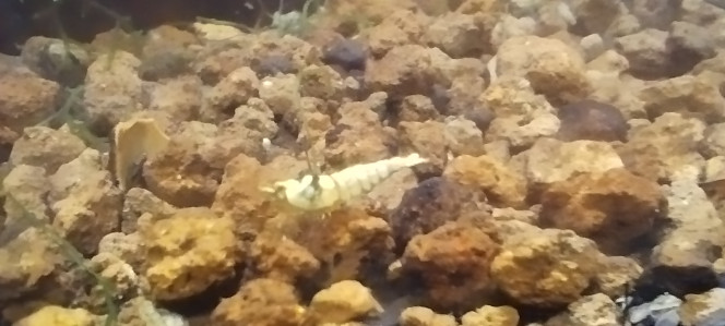 Photographie du post de Olivier1977 