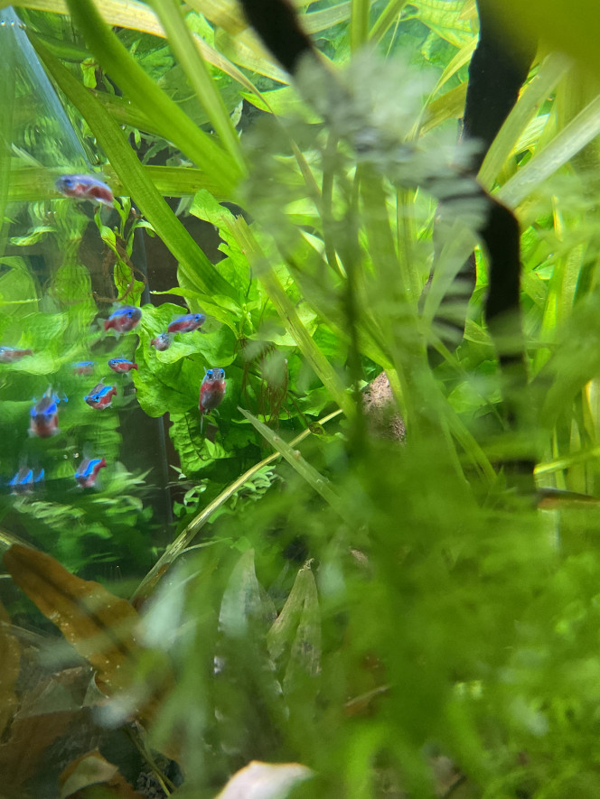 Photographie du post de Nahemafleur 