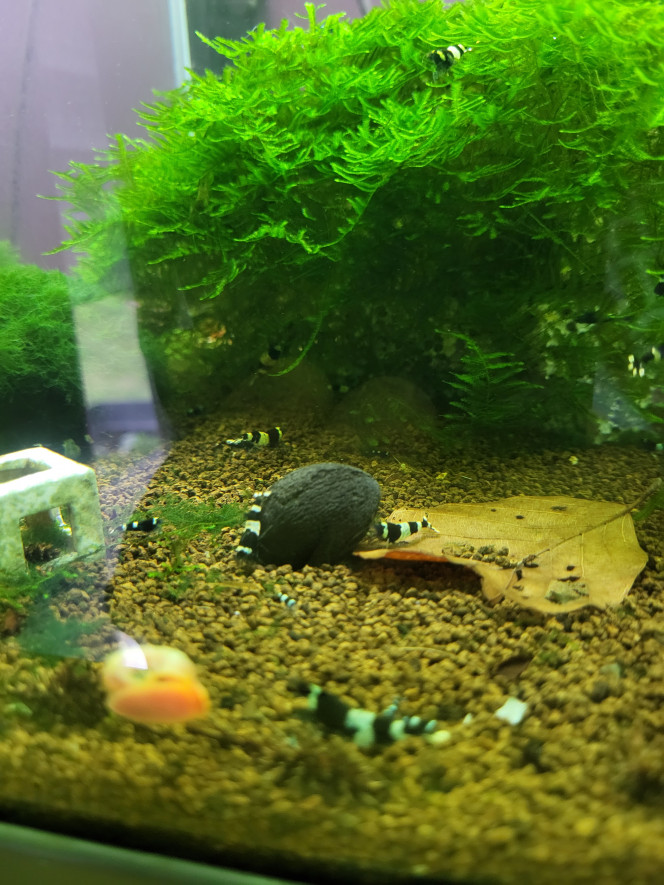 Photographie du post de Tedd80 