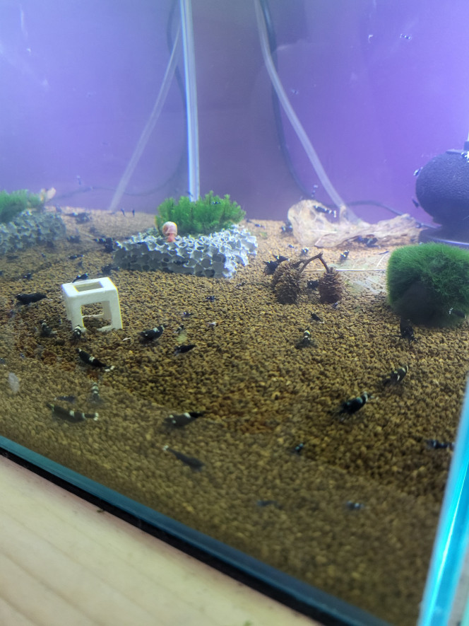 Photographie du post de Tedd80 