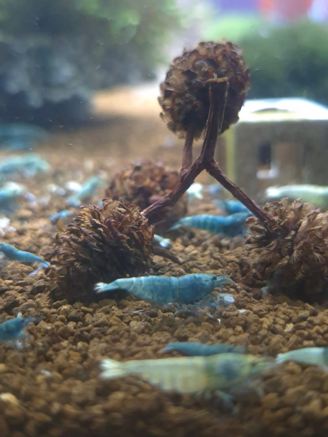 Photographie du post de Tedd80 