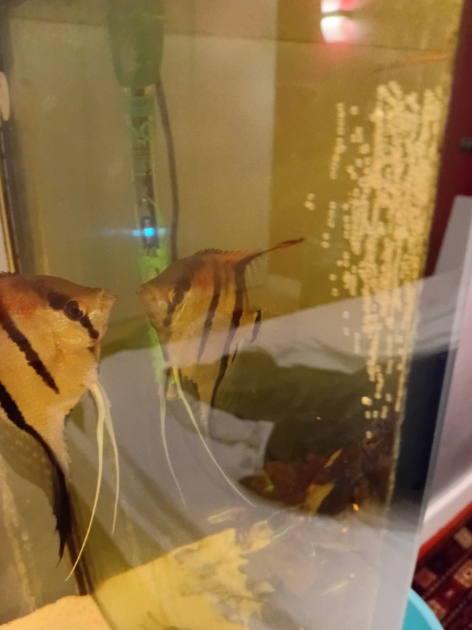 Photographie du post de vv091v 