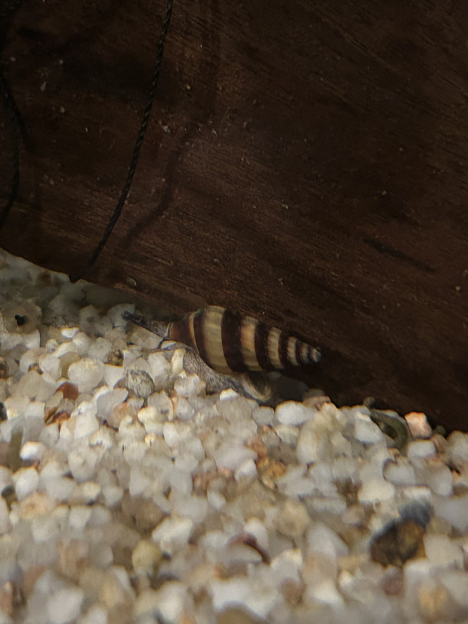 Photographie du post de Euge 