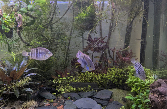 Photographie du post de crousti 