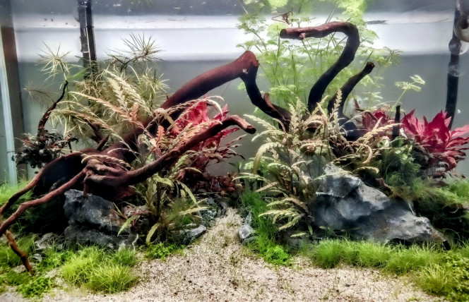 Photographie du post de bardawilh 