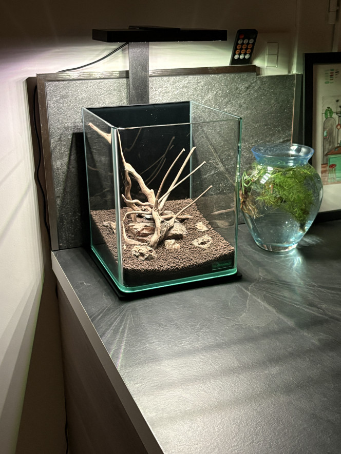 Photographie du post de Olivoliv 