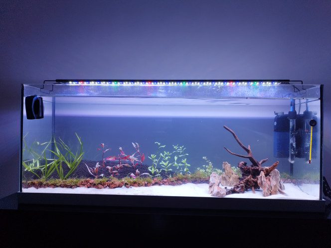 Photographie du post de Lgn02 