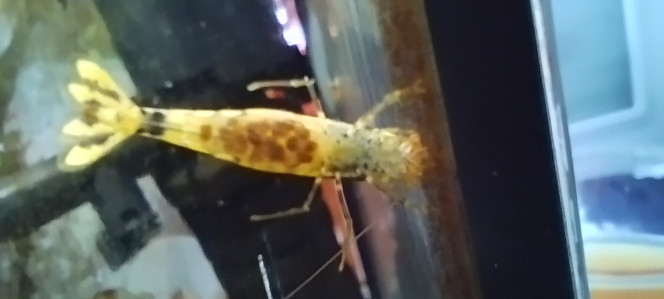 Photographie du post de Olivier1977 