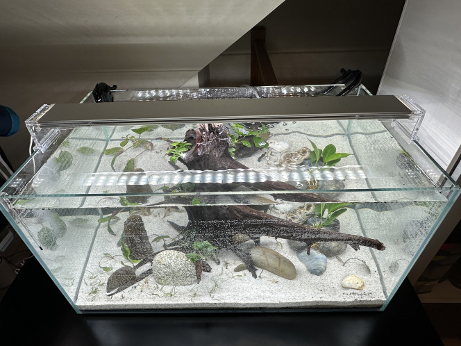 Premier remplissage complet Mise en route du filtre
Remplissage à l’eau de conduite