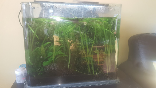 Photographie du post de LiquidPaper2008 