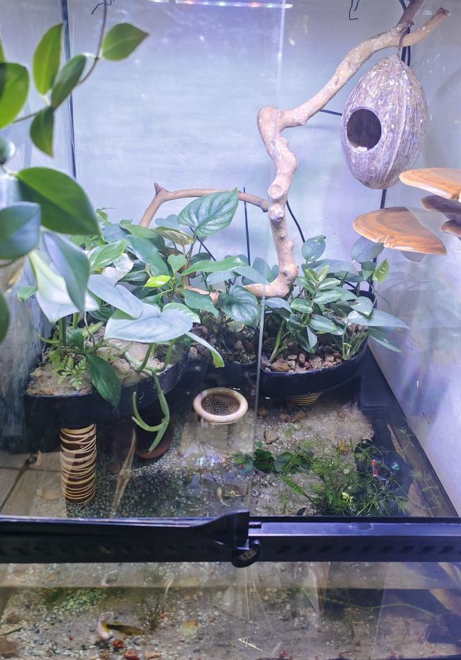 Chantier hivernal Ça pousse sur les îlots, il reste encore du boulot sous la surface