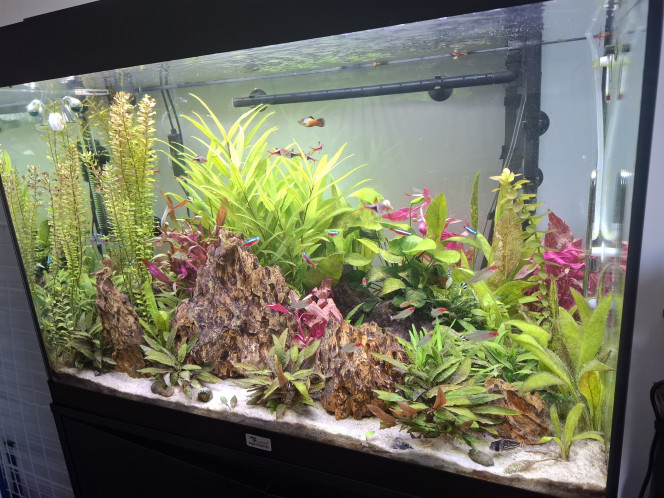 Photographie du post de Guiguidu57 