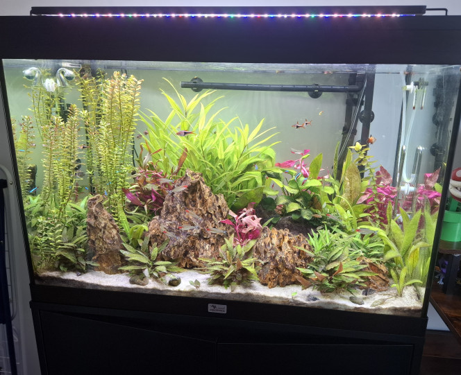 Photographie du post de Guiguidu57 