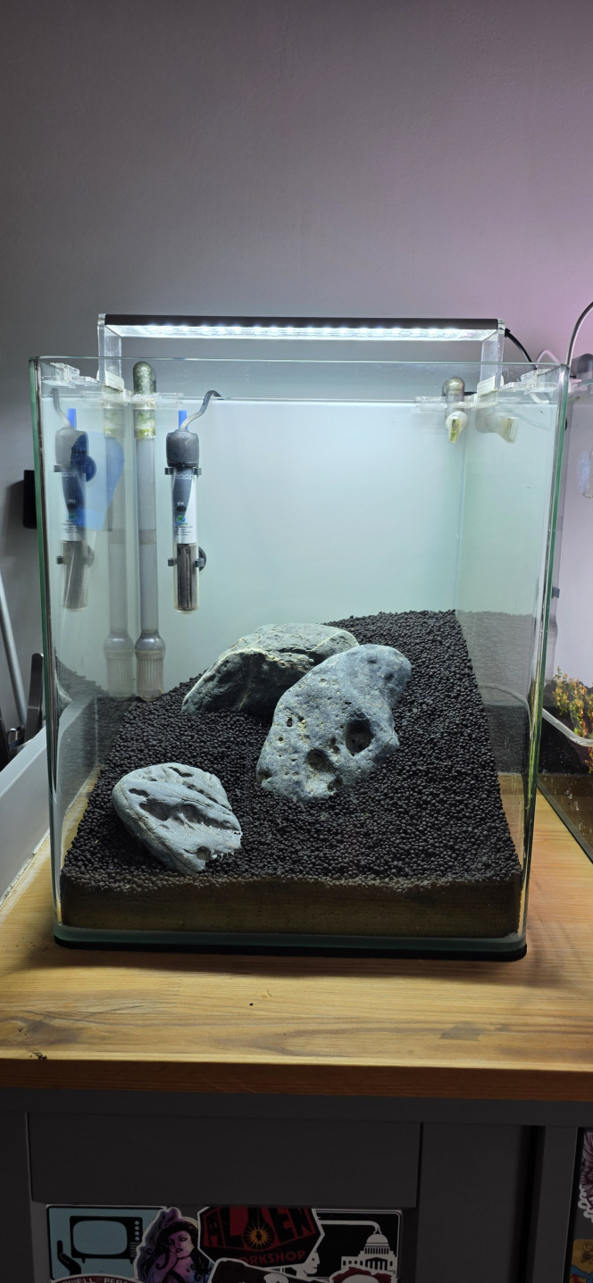 Iwagumi 30 L Voilà la dernière réalisation de ma triplette 30 / 70 / 30.
Comme promis, je vous présente l’installation de mon dernier aquarium, qui vient clôturer cette série.
C’est une installation volontairement simple et très minimaliste.
La roche utilisée est une roche totalement neutre, assez compliquée à trouver, mais qui apporte une très belle touche foncée à l’aquarium.
Le fond de maintien est composé de pouzzolane déjà chargée en bactéries.
Cette fois-ci, j’ai utilisé de l’Aquarium Soil Tropica comme sol technique, que je trouve un peu moins agressif que l’Aquarium Soil Powder, avec en plus une granulométrie légèrement plus grossière.
Côté végétation, une seule plante : Utricularia graminifolia.
Je connais bien cette plante pour l’avoir ratée pas mal de fois ?, mais rassurez-vous, maintenant je la maîtrise.
C’est une plante carnivore, mais aucun risque pour les crevettes ou autres habitants : elle ne s’intéresse qu’aux micro-organismes.
Elle n’a pas réellement besoin d’engrais, mais le CO₂ est indispensable, et elle n’aime pas du tout la pollution.
C’est pour cette raison que je vais démarrer l’aquarium en dry start pendant 3 semaines, voire un mois, afin d’éviter qu’elle ne fonde dès le départ.
Elle n’a pas vraiment de racines, mais tient malgré tout très bien sur le sol.
Elle ne gazonne pas au sens strict, mais une fois bien implantée, l’effet est vraiment superbe.
Même sans eau, je vais quand même injecter du CO₂.
Le CO₂ étant plus lourd que l’air, il va tapisser le fond de l’aquarium et accélérer légèrement le développement de la plante.
On ne le voit pas sur les photos, mais le tuyau est placé en haut à gauche, au point le plus haut de l’aquarium, afin que toute la surface plantée en profite.
Lors de la mise en eau, je n’utiliserai pas d’eau osmosée pour la première fois, mais de l’eau déjà cyclée provenant du 70 L juste à côté.
L’utricularia étant très fragile et sensible aux nitrites, cela permettra d’éviter un pic trop important, qui pourrait la faire fondre.
Comme l’aquarium est en dry start, pas besoin de limiter la luminosité.
Au contraire, elle est réglée à 100 % pendant 12 heures.
Une fois la mise en eau effectuée, la lumière sera réduite à 50 % pendant 8 heures, le temps du cyclage.
Je vais également devoir placer un carton du côté du 70 L, afin d’éviter de stresser les plantes de l’aquarium voisin avec une lumière plus forte et plus longue que sur l’Iwagumi.
Voilà, en espérant que tout ça vous inspirera ?