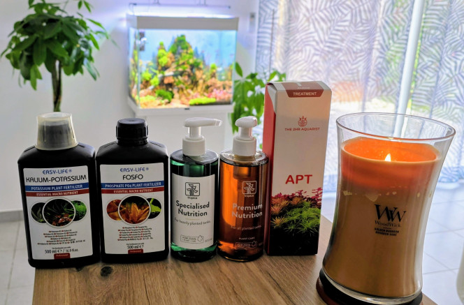 Photographie du post de Yannick66 