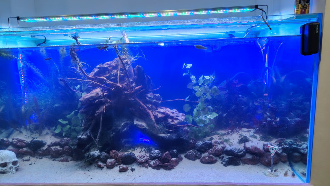 Photographie du post de Flo83 