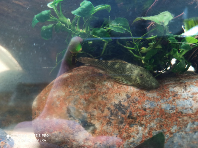 Photographie du post de Yoannikko 