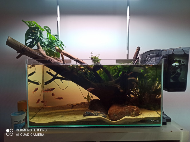 Photographie du post de Yoannikko 