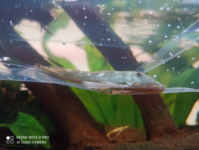 Photographie du post de Yoannikko 