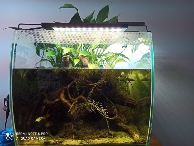 Photographie du post de Yoannikko 