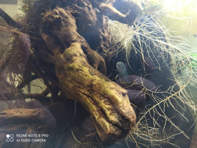 Photographie du post de Yoannikko 