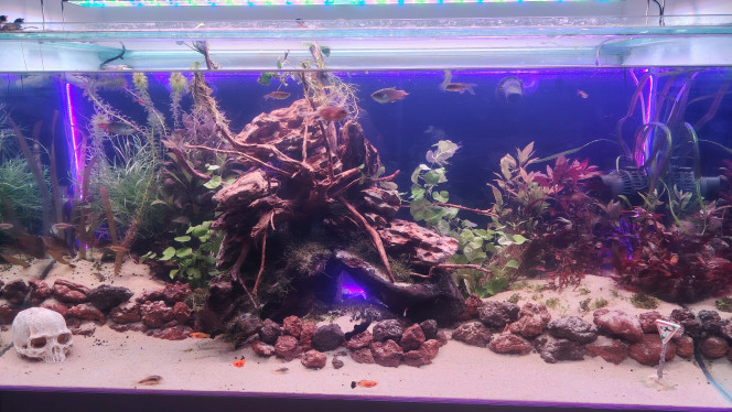 Photographie du post de Flo83 