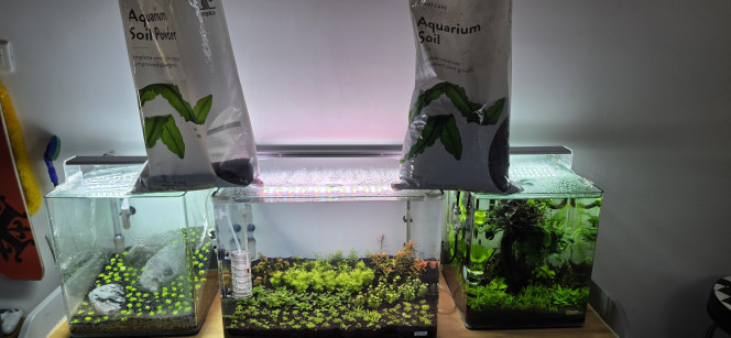 Photographie du post de boubou59 