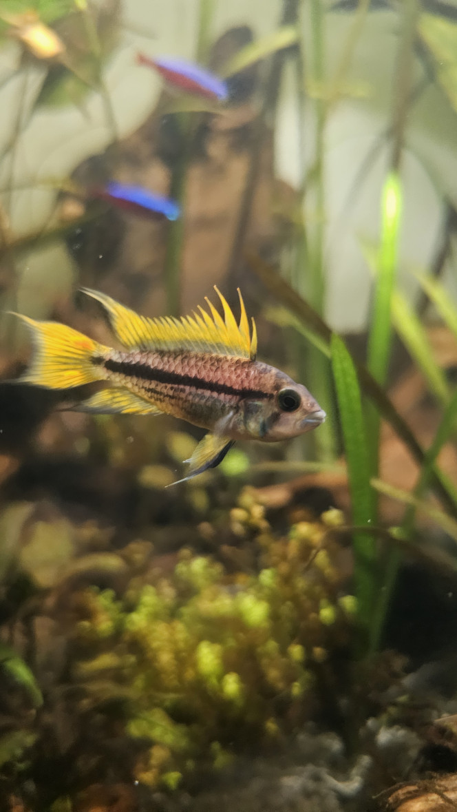 Photographie du post de Loic26 