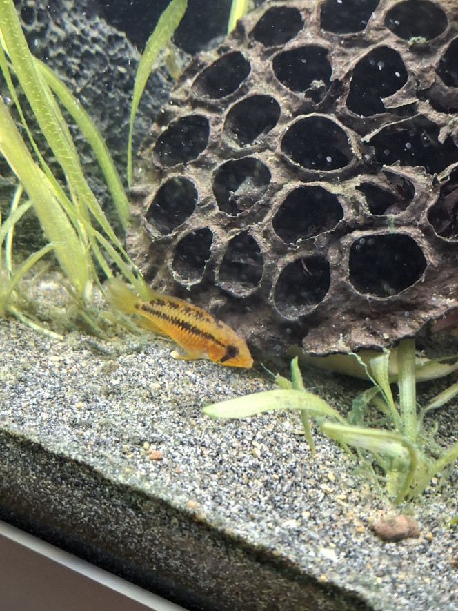 Photographie du post de StephL 