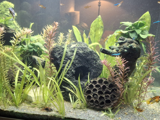 Photographie du post de StephL 