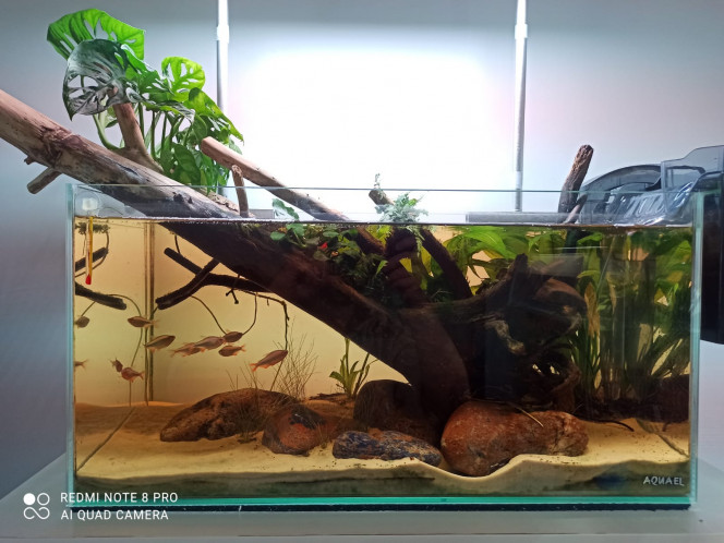 Photographie du post de Yoannikko 