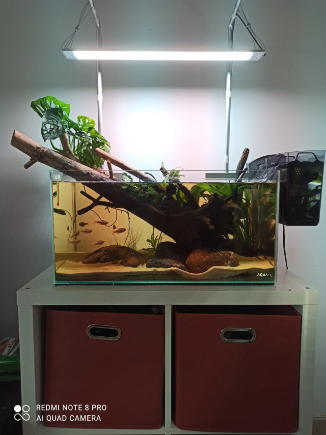 Photographie du post de Yoannikko 