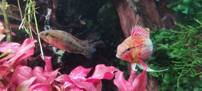 Photographie du post de Olivier1977 