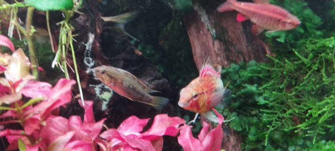 Photographie du post de Olivier1977 