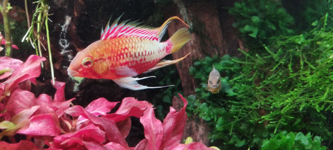 Photographie du post de Olivier1977 