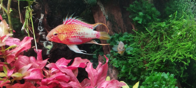 Photographie du post de Olivier1977 