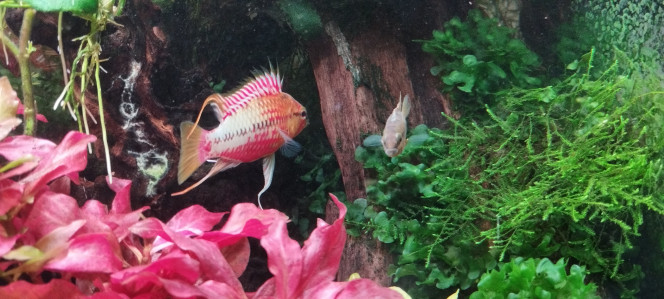 Photographie du post de Olivier1977 