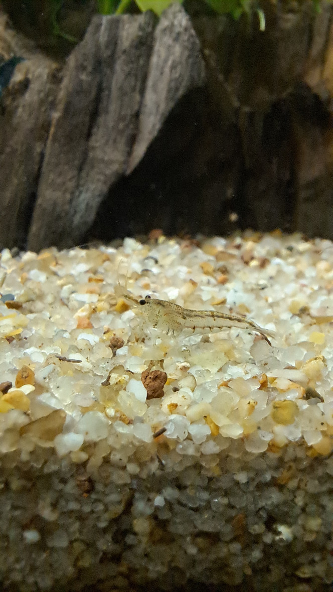 Photographie du post de louloulepoulpe 