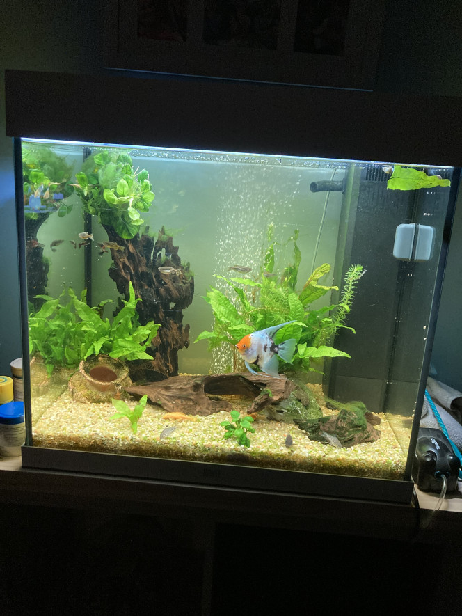 Photographie du post de Julie79 