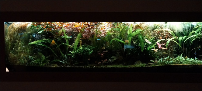 Photographie du post de STK54 