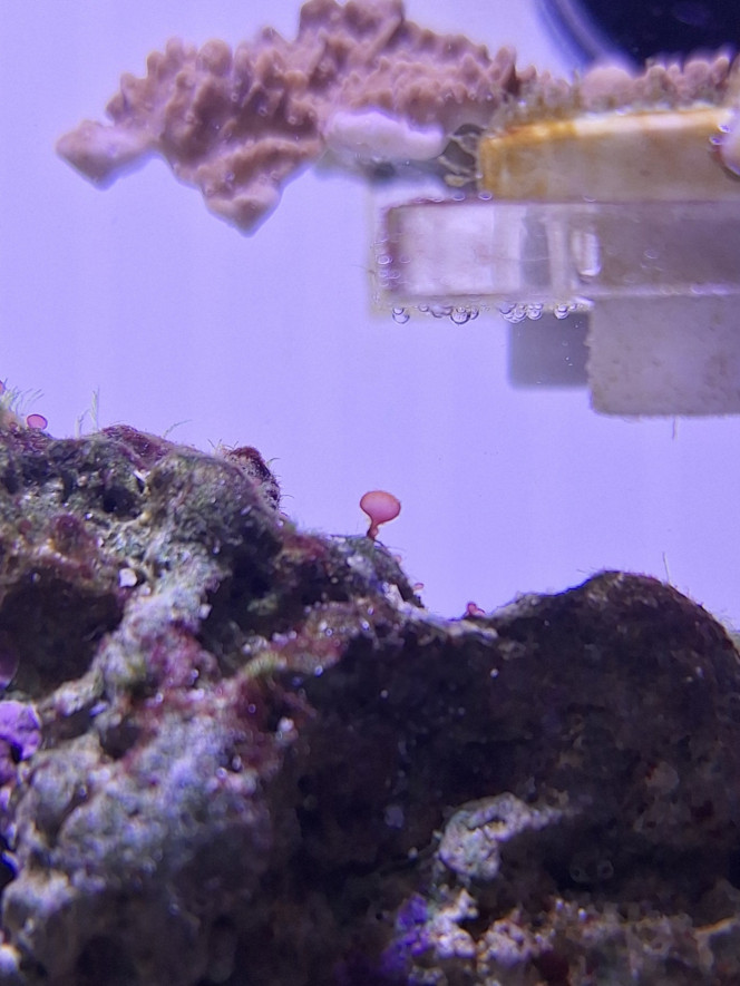 Photographie du post de Evaelorac 