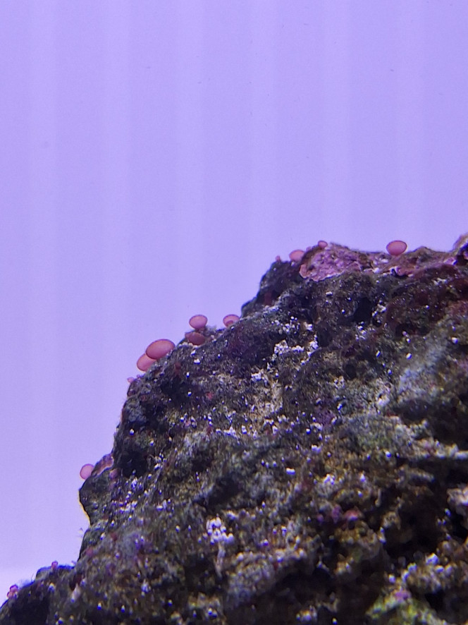 Photographie du post de Evaelorac 