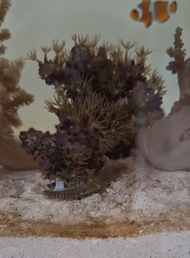 Photographie du post de Evaelorac 