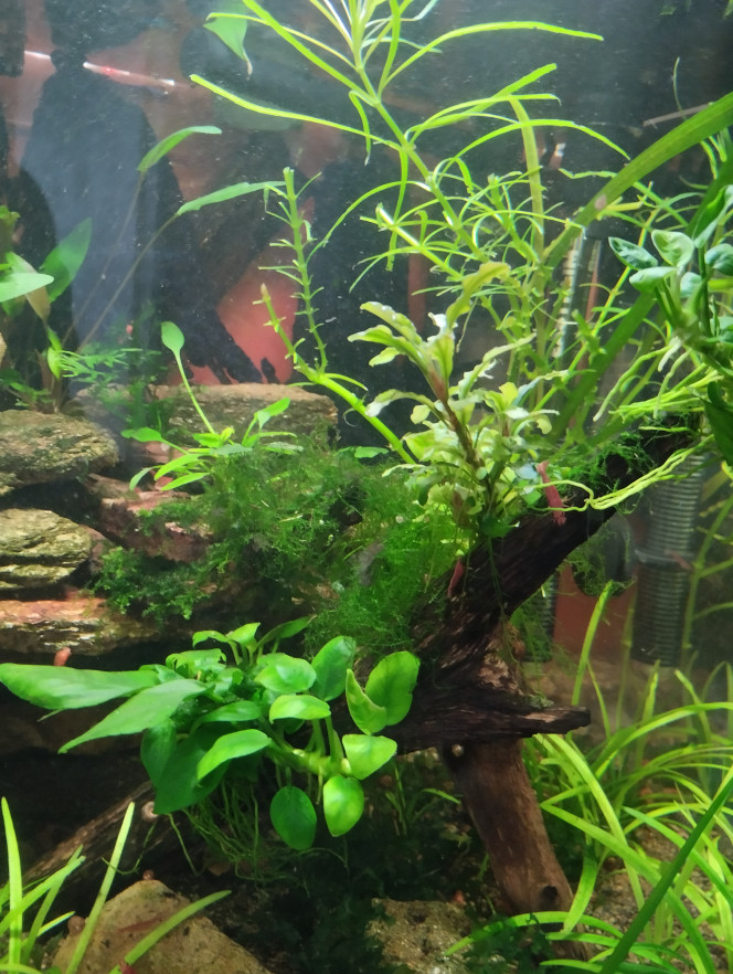 Photographie du post de lolo95 