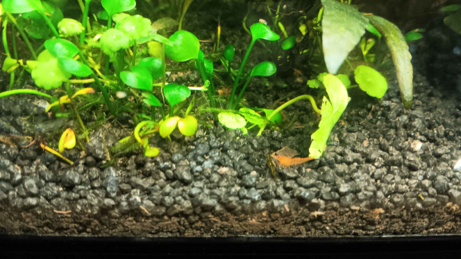 Photographie du post de Gorthak 