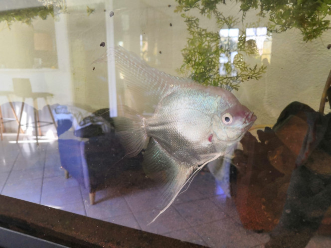 Photographie du post de Lilie87 