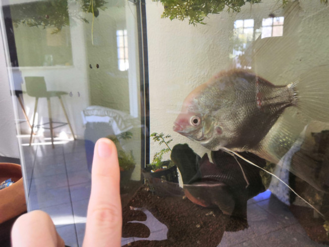 Photographie du post de Lilie87 