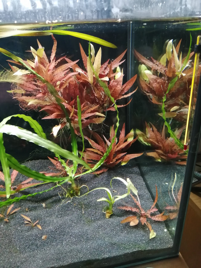 Photographie du post de lexx 